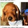 lizpena810